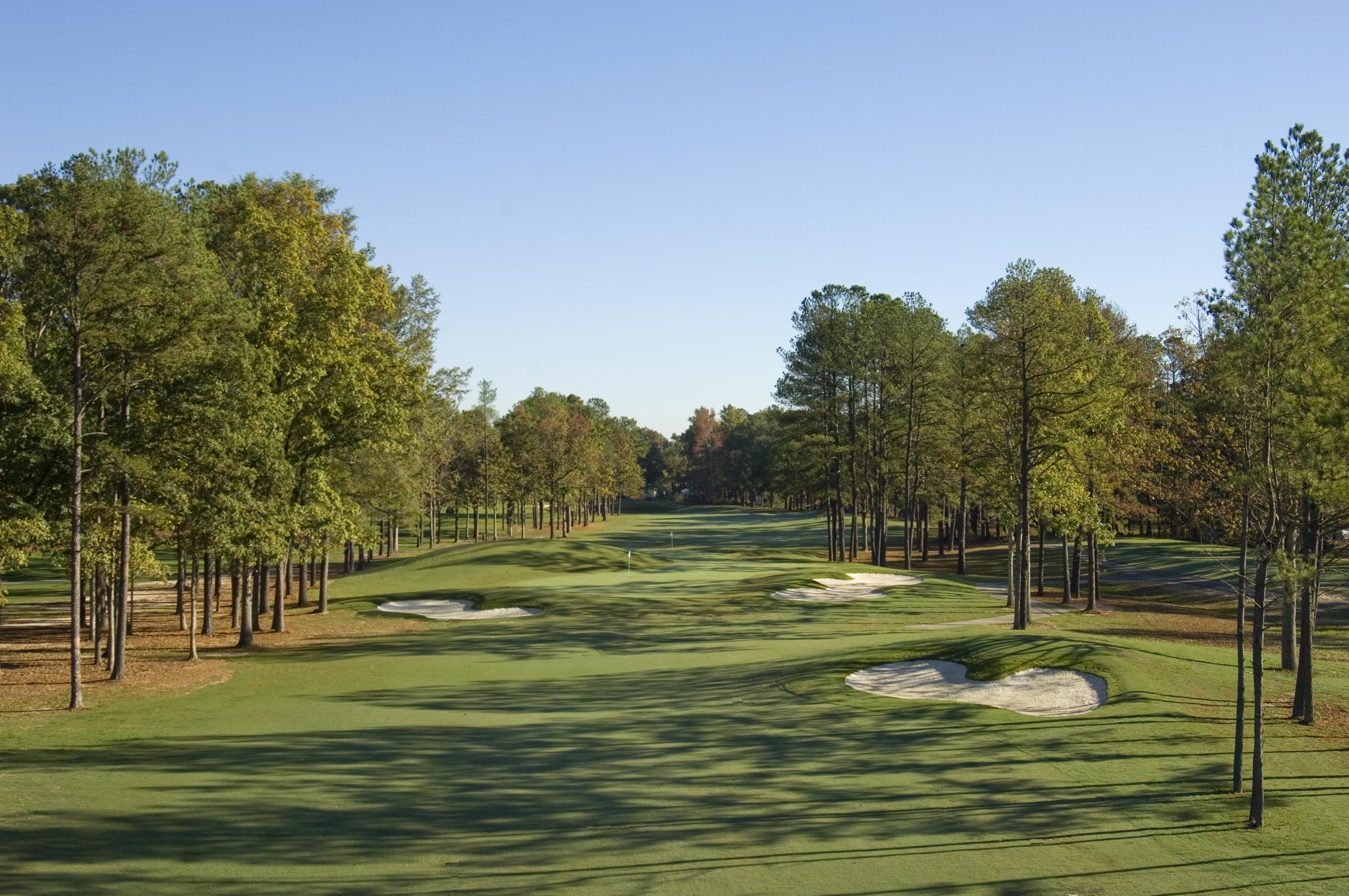 Dogwood Trace-